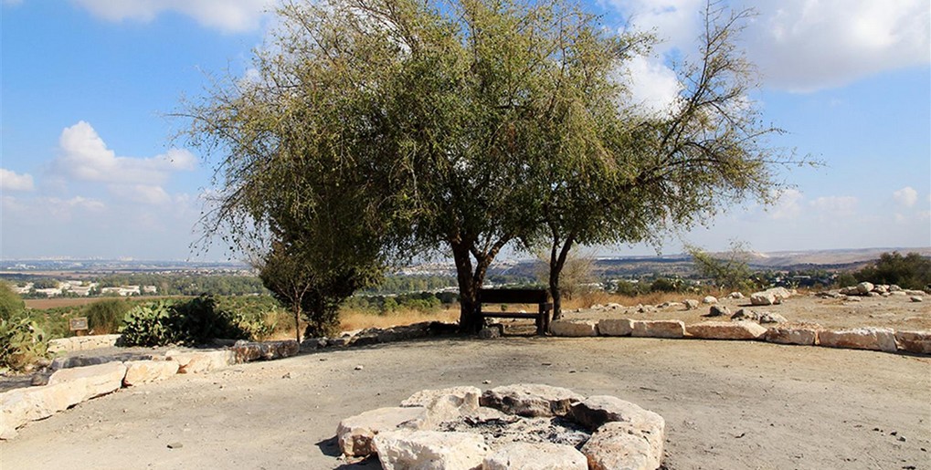 מסלול טיול לתל חדיד שביער בן שמן. צילום: יעקב שקולניק