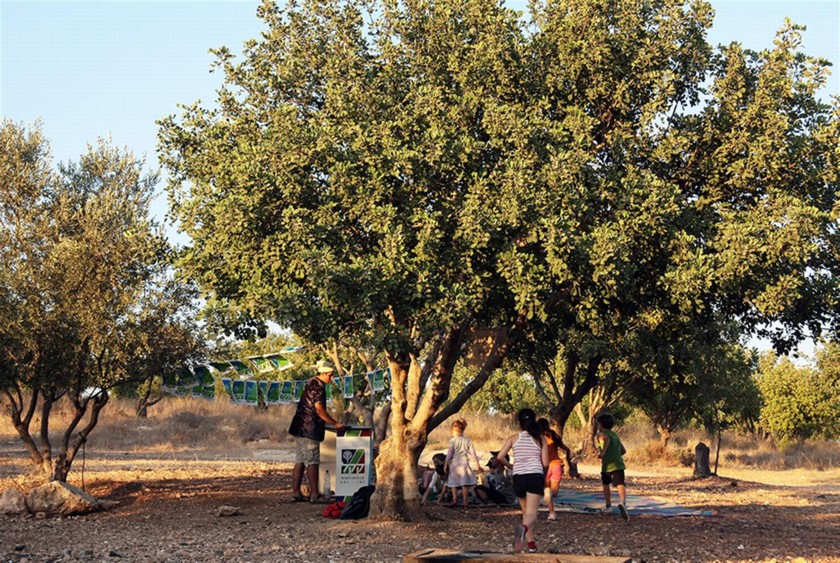 פעילות הדרכה של קק"ל בתל חדיד. צילום: יעקב שקולניק