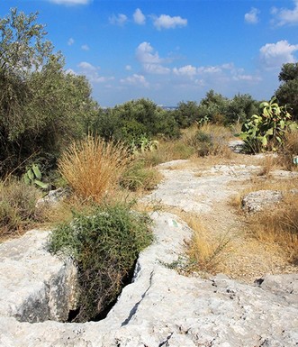 קבר קדום חצוב בסלע. צילום: יעקב שקולניק