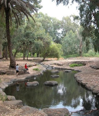 עין משפע. צילום: יעקב שקולניק
