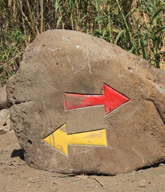 חצי הכוונה למסלולי פארק הירדן. צילום: יעקב שקולניק