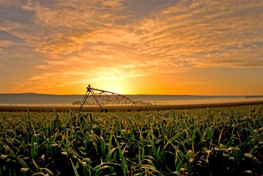 זריחה באגמון. צילום: תומאס קרומנקר
