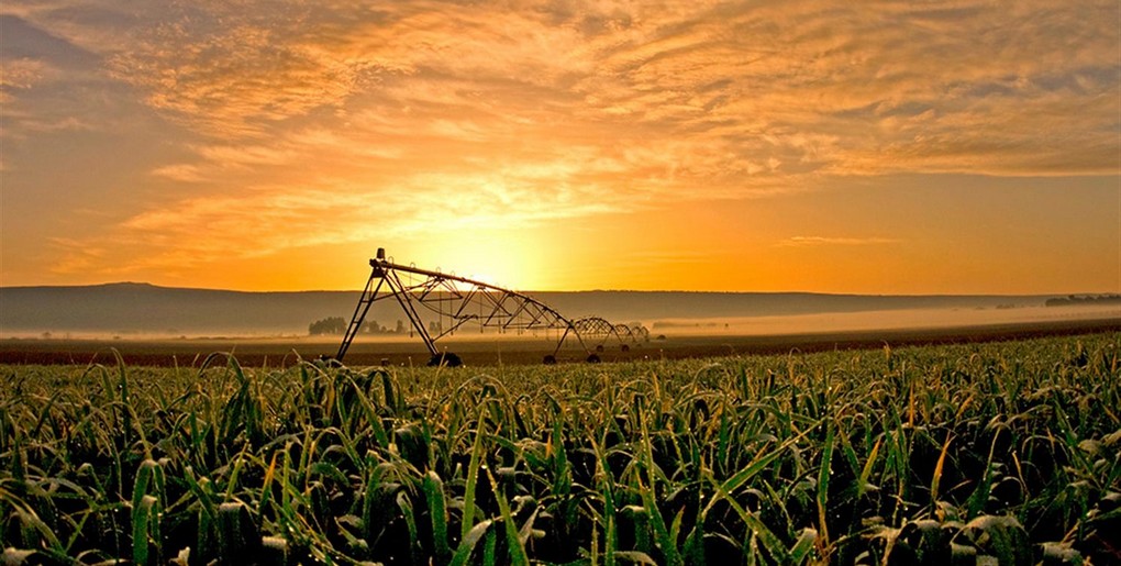 מסלול טיול אביב באגמון החולה. צילום: תומאס קרומנקר
