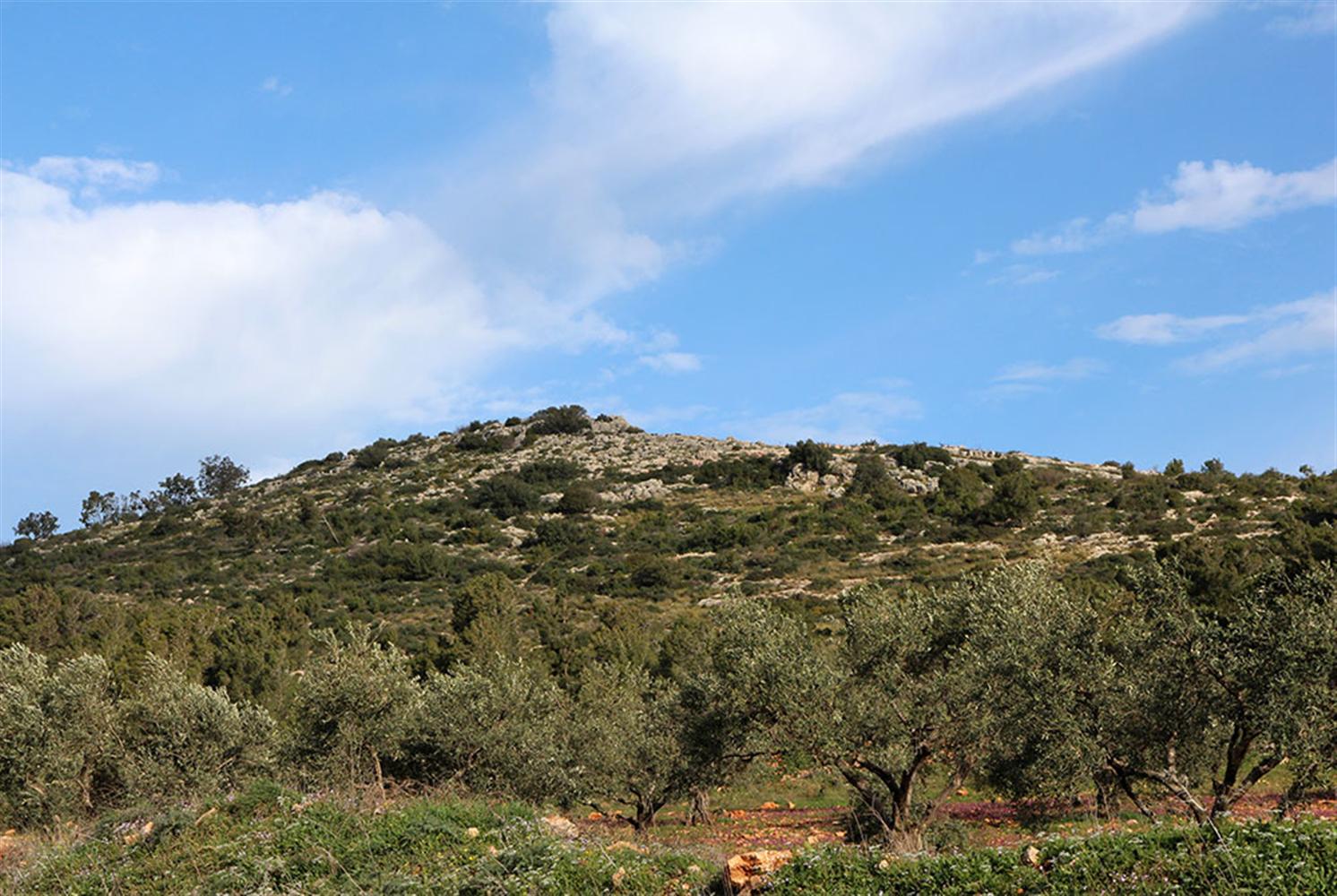 מראה כללי של הר גמל. צילום: יעקב שקולניק