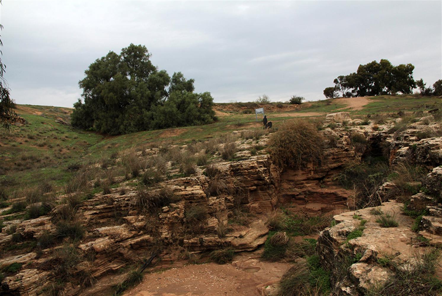 גבי נחל שמריה. צילום: יעקב שקולניק