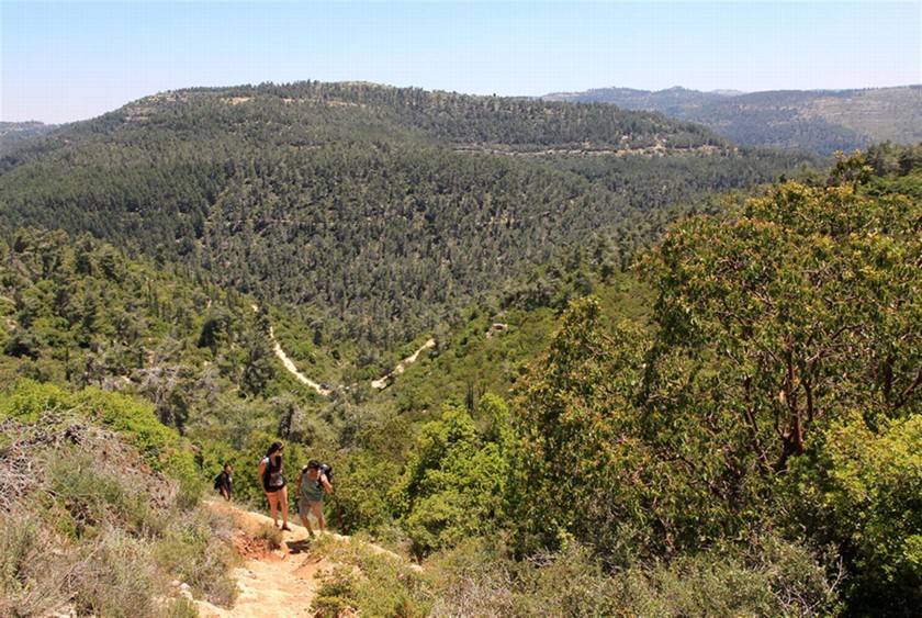 נופי הרי ירושלים כפי שנראים ממדרון הר טייסים. צילום: יעקב שקולניק