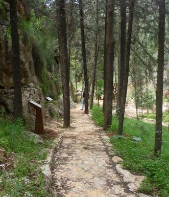 בצד השביל לאנדרטה מוצבים ציטוטים מיומנה של אנה. צילם: יעקב שקולניק