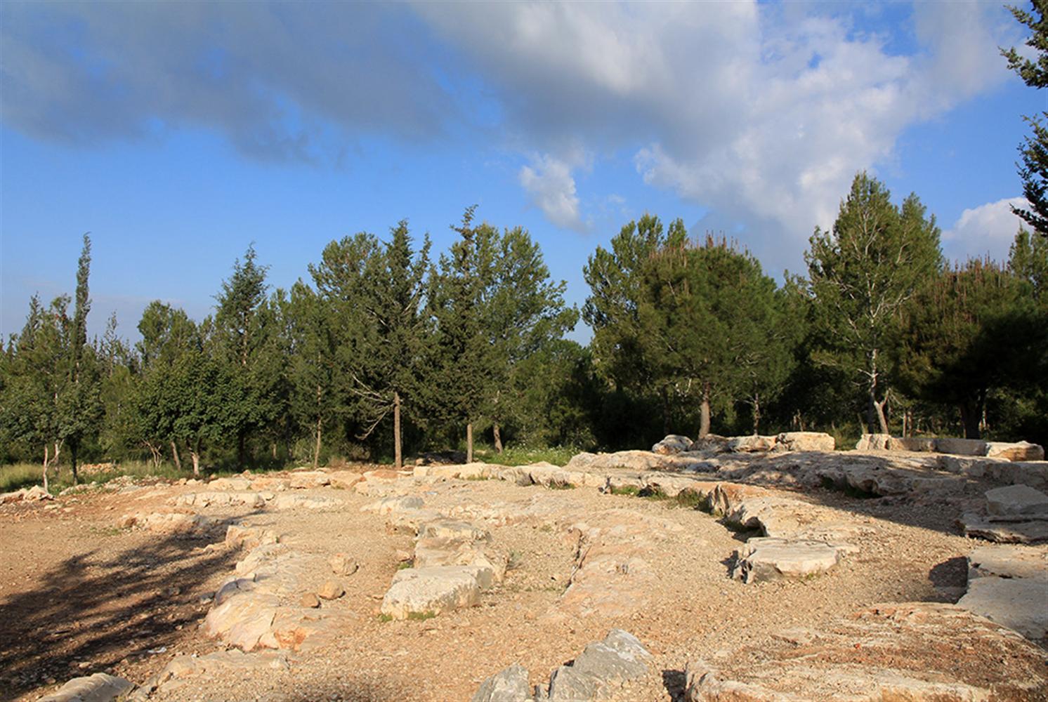 שביל אלכסנדרוני, העובר ליד האמפי שביער אלעד. צילום: יעקב שקולניק