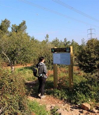 תחילת שביל אלכסנדרוני. צילום: יעקב שקולניק