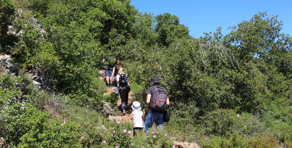 צילום: יעקב שקולניק, ארעיון הצילומים של קקל
