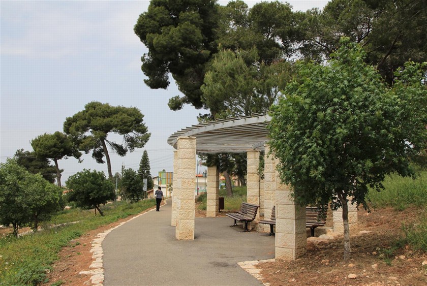 פרגולה ביער הקהילתי. צילום: יעקב שקולניק