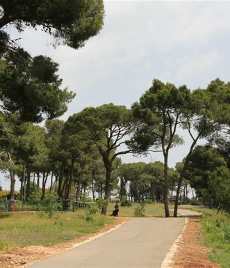 שביל ביער הקהילתי. צילום: יעקב שקולניק