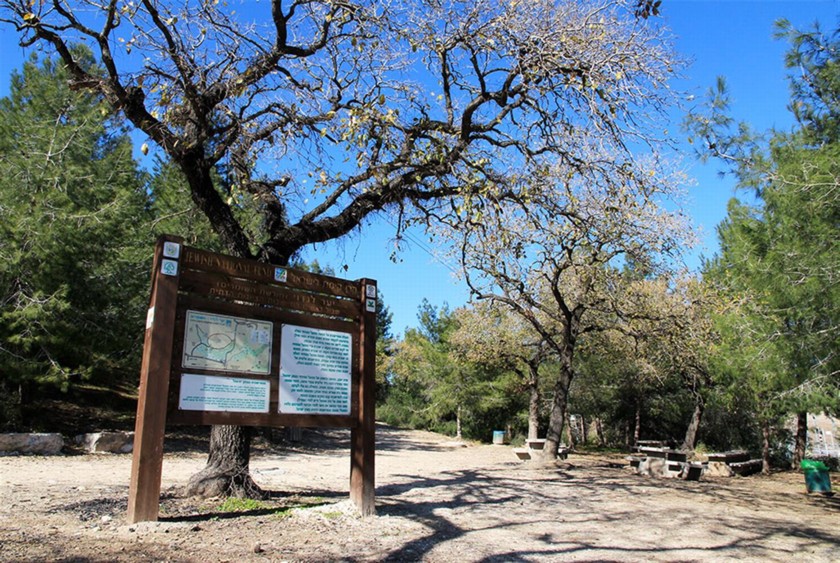 חניון חורשת השומרים. צילום: יעקב שקולניק