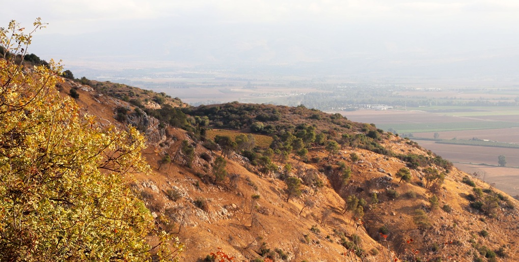 מצוקי נחל קדש