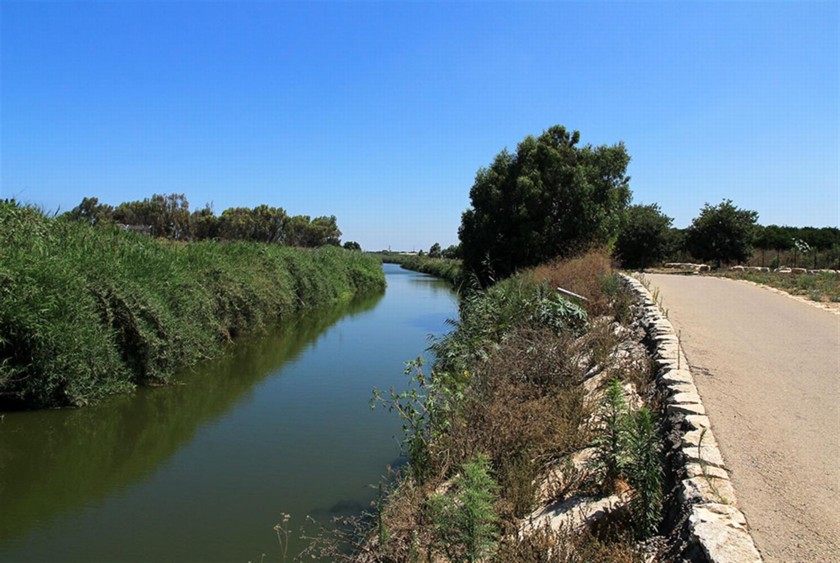 נחל אלכסנדר ליד כפר ויתקין. צילום: יעקב שקולניק