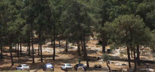 החניון המערבי ביער אחיהוד. צילום: יעקב שקולניק