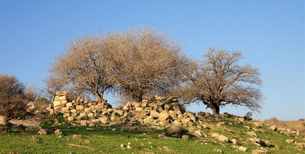 שביל הגולן: מאמפי גולן למבוא חמה (קטע 14). צילום: יעקב שקולניק