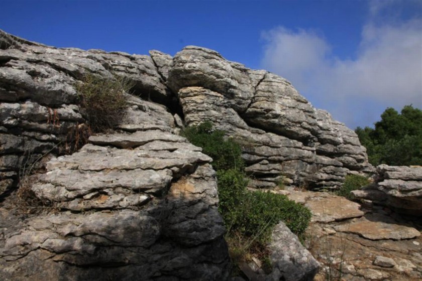 שביל היערון. צילום: יעקב שקולניק