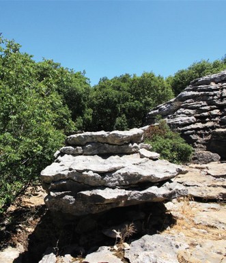 סלעים וחורש משמשים בערבוביה. צילום: יעקב שקולניק