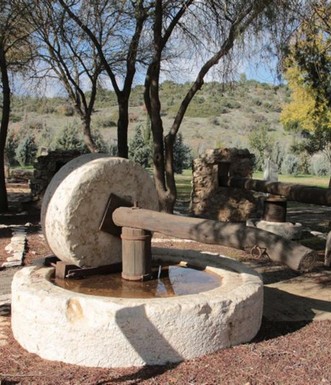 מתקן ריסוק זיתים, שלב ראשון בהפקת שמן זית. צילום: יעקב שקולניק