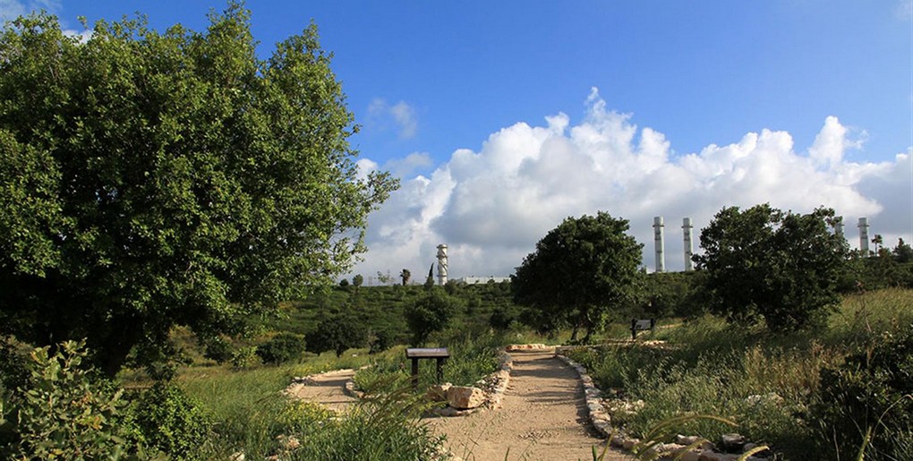 מסלול יער חגית (יער לקוחות חברת החשמל). צילום: יעקב שקולניק 