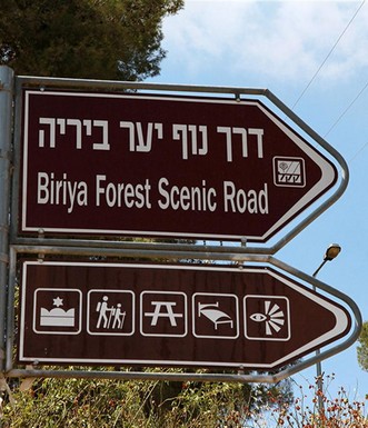שלט הכוונה ליער ביריה. צילום: יעקב שקולניק