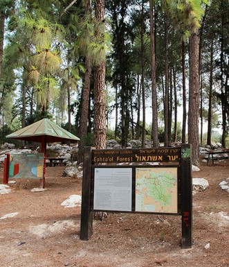 חניון אשתאול. צילום: יעקב שקולניק