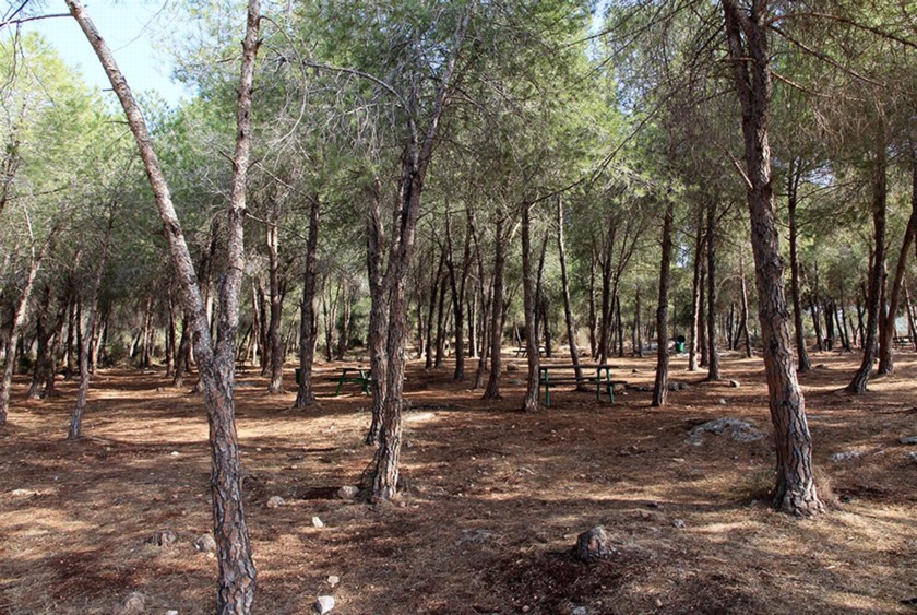 חניון המלכה יוליאנה. צילום: יעקב שקולניק