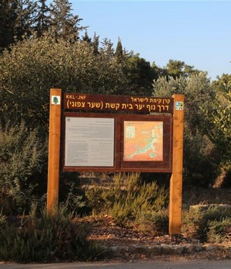 המבואה הצפונית של יער בית קשת. צילום: יעקב שקולניק