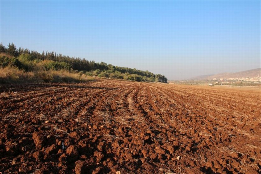 שדה חרוש בצד הדרך. צילום: יעקב שקולניק