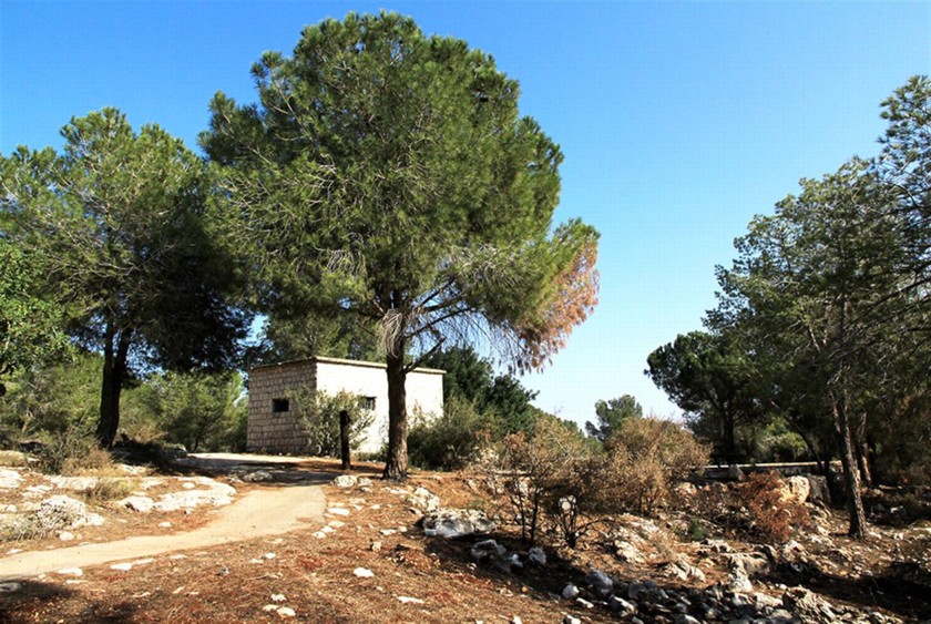 השביל מבית היערן למצפור בית היערן. צילום: יעקב שקולניק
