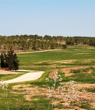 חורבת מגדלית - מראה כללי. צילום: יעקב שקולניק