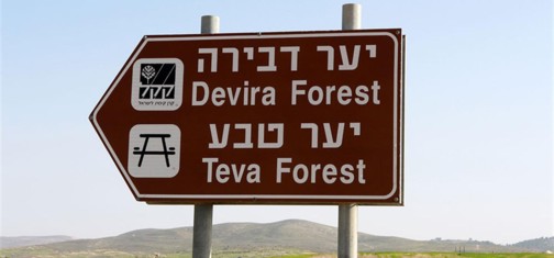 שלט הכוונה ליער דבירה. צילום: יעקב שקולניק