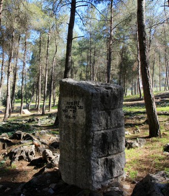 החורשה לזכר פלוגות סיור 288. צילום: יעקב שקולניק