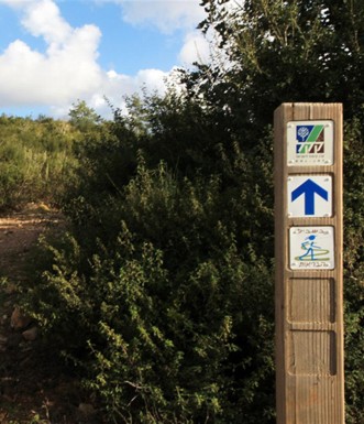 שלט הכוונה בשביל הבריאות שביערות הכרמל. צילום: יעקב שקולניק