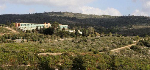 אחרי חמש שנים. השטח השרוף מסביב למלון יערות הכרמל. צילום: יעקב שקולניק