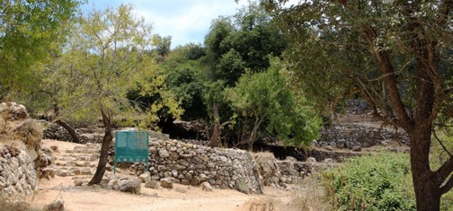 הבוסתן בעין חוד. צילום: יעקב שקולניק