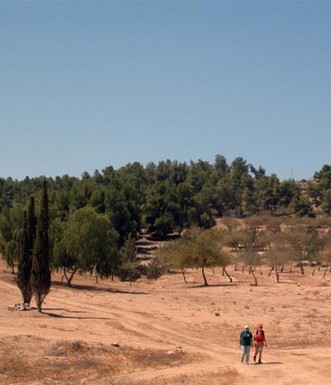 פינה ביער יתיר. צילום: יעקב שקולניק