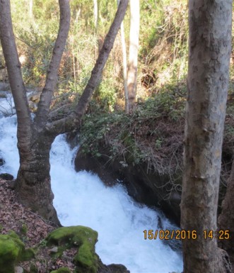 שצף הבניאס בימים הטובים. צילום: אליעזר