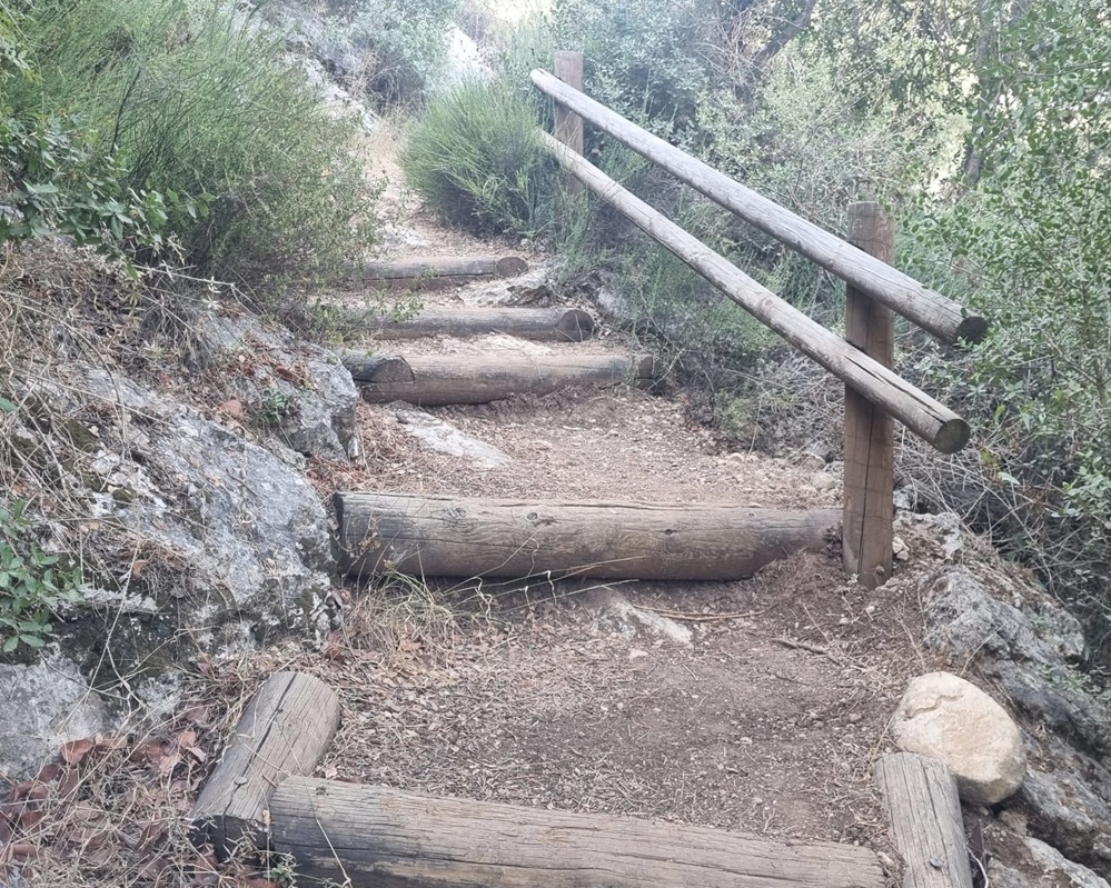 לאורך השביל. צילום: עדי טנא נתן, קק"ל