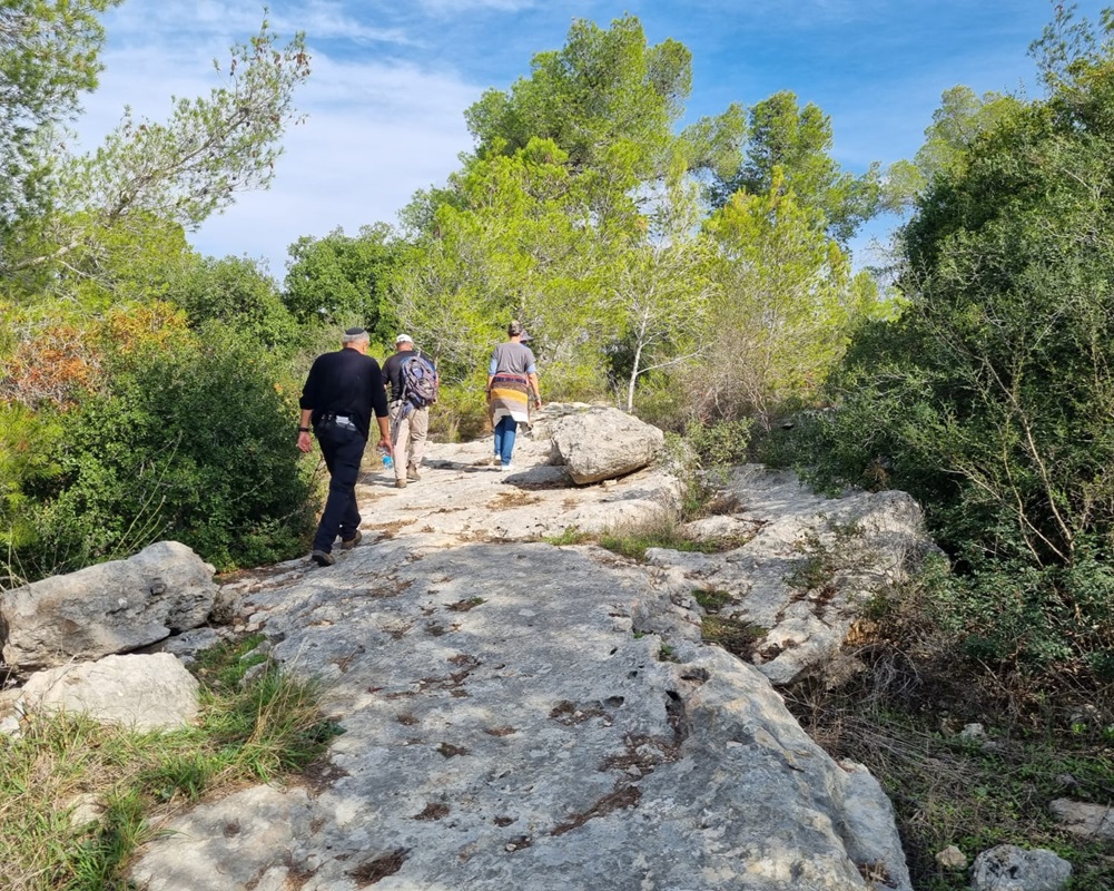 משטחי סלע. צילום: מאור אלרון