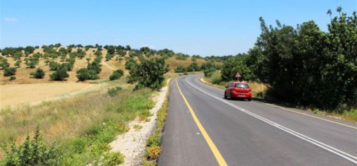 דרך הפארק נסללה מחדש. צילום: יעקב שקולניק