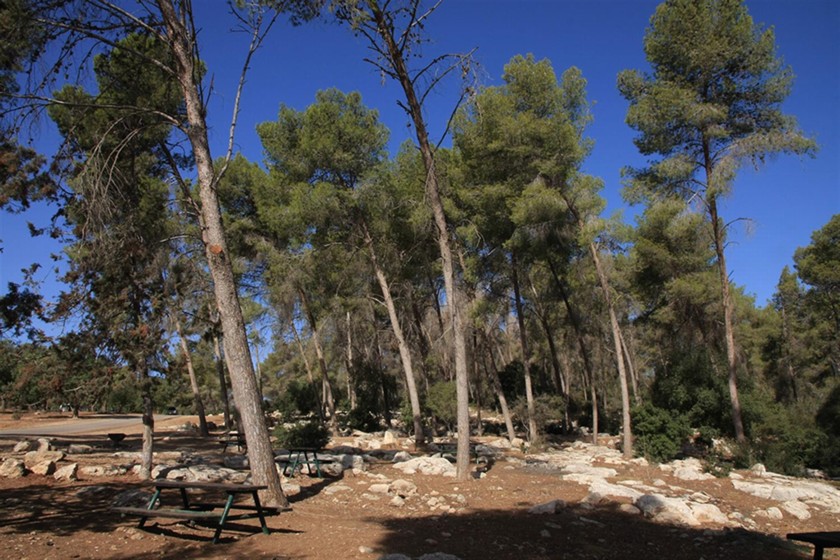 חניון שריגים. צילום: יעקב שקולניק