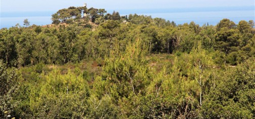 מצפה עופר במבט ממצפור מלונות דן. צילום: יעקב שקולניק