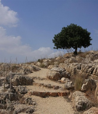 שביל הפסגה בהר הקפיצה. צילום: יעקב שקולניק