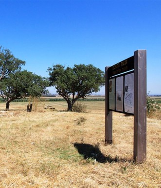גבעת התאנים בקיץ. צילום: יעקב שקולניק