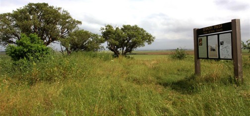 גבעת התאנים באביב. צילום: יעקב שקולניק