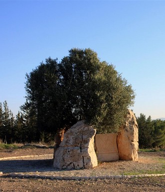 משבר לתקווה, יצירתו של נתן סאס. צילום: יעקב שקולניק