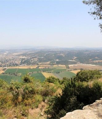 נוף גבעות אלונים. צילום: יעקב שקולניק