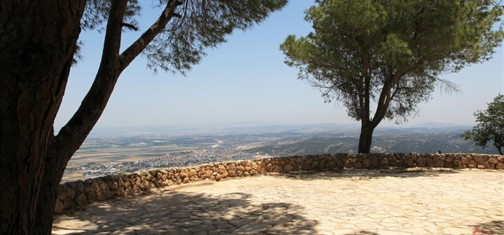 עץ אורן קפריסאי מצל על רחבת התצפית. צילום: יעקב שקולניק